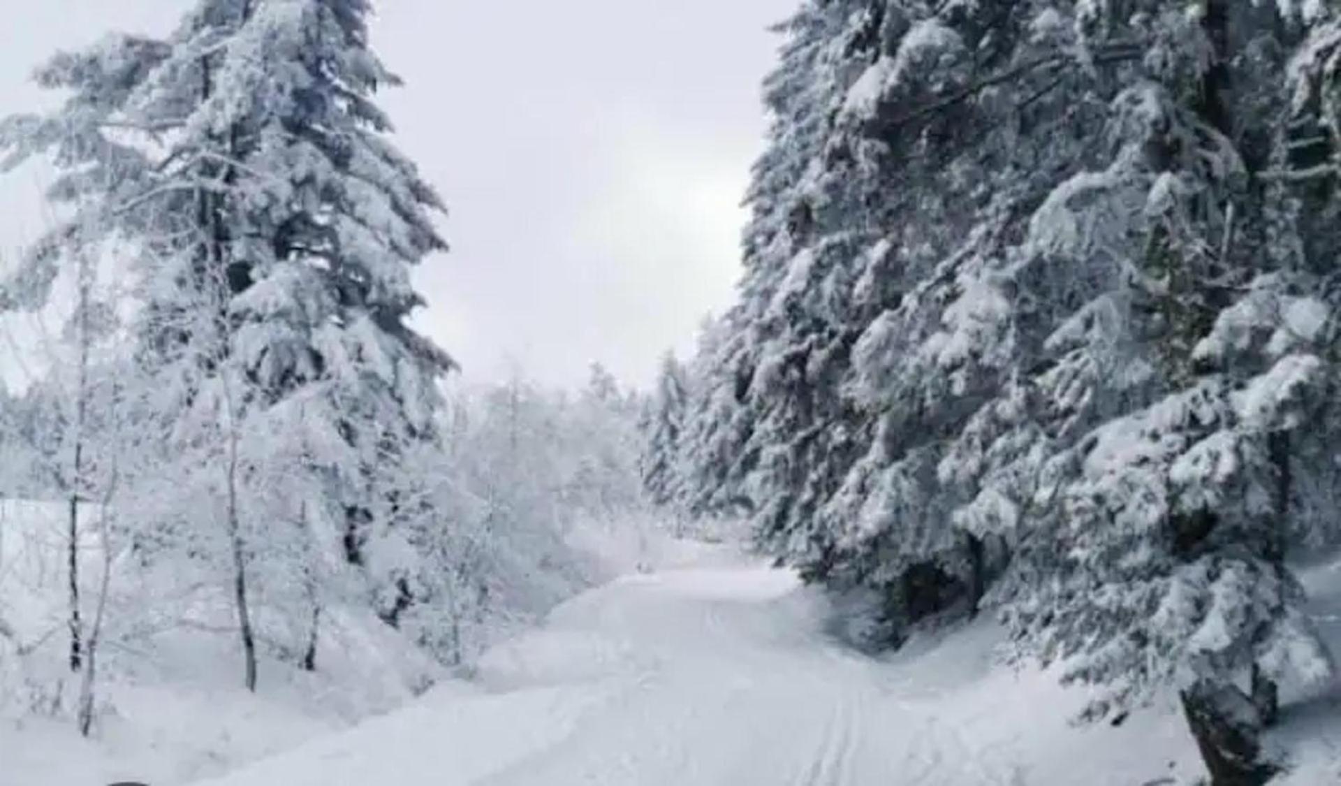 Mountain View 2 Bedroom Apartment Saint Beat Lez Εξωτερικό φωτογραφία